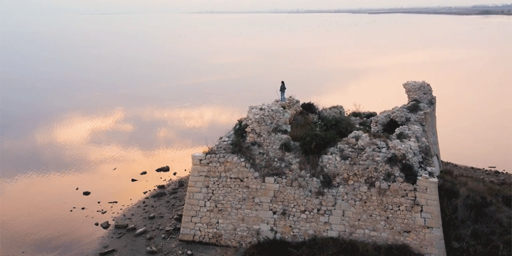 Imatge de portada de la secció "Discos"