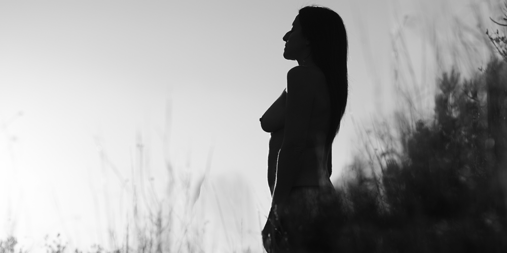 Imatge de portada de la secció "Premsa"